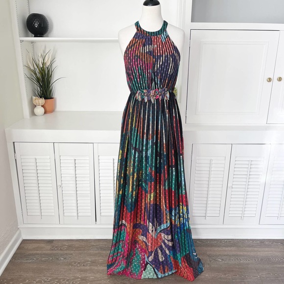 Anthropologie Geisha Designs Kalinka Pleated Floral Stripe Maxi Dress Size S/4 - Picture 2 of 7